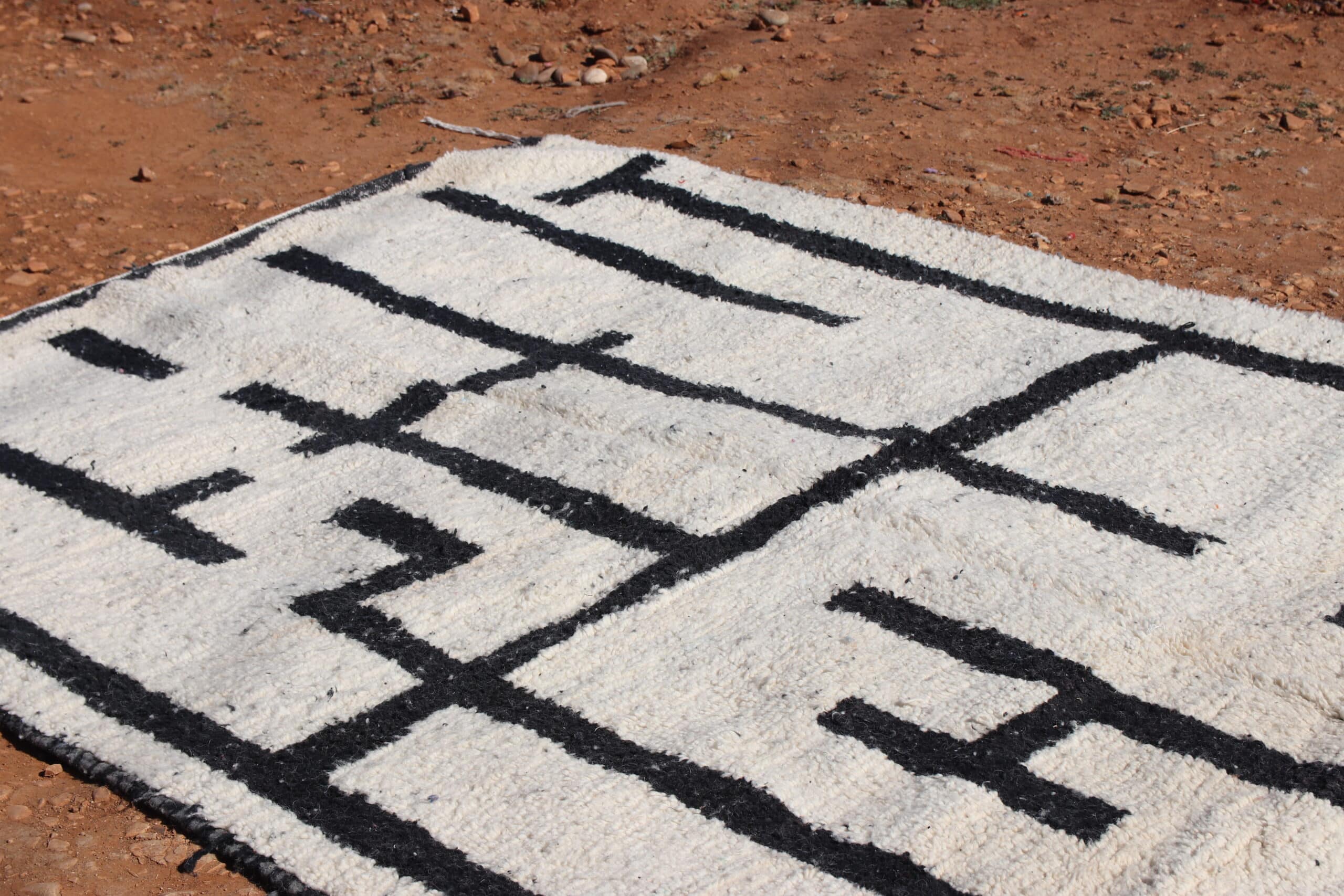 Stylish Black and White Rug - image 4