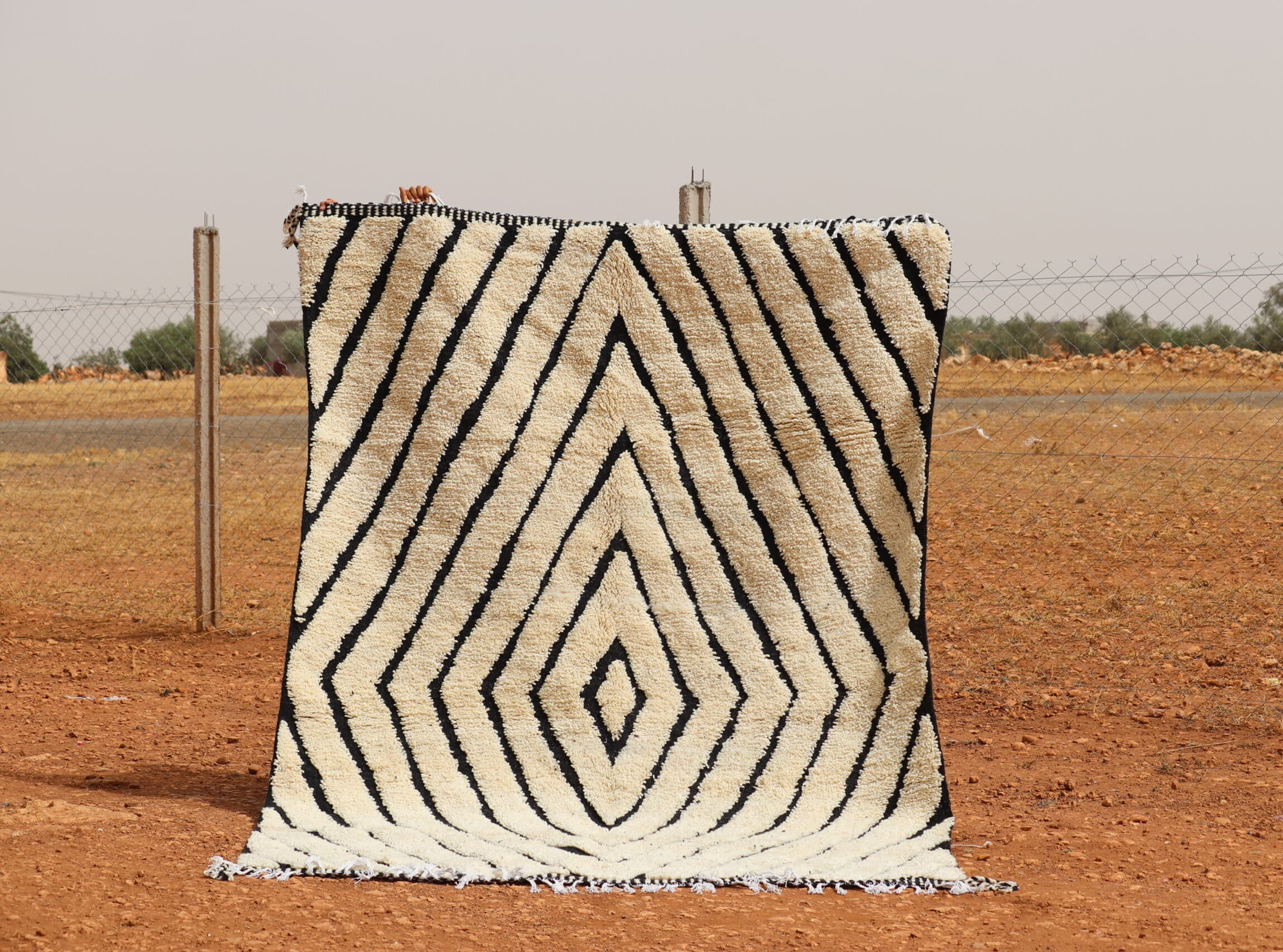 Black and white striped rug