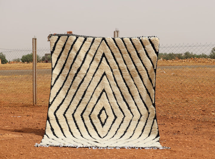 Black and white striped rug