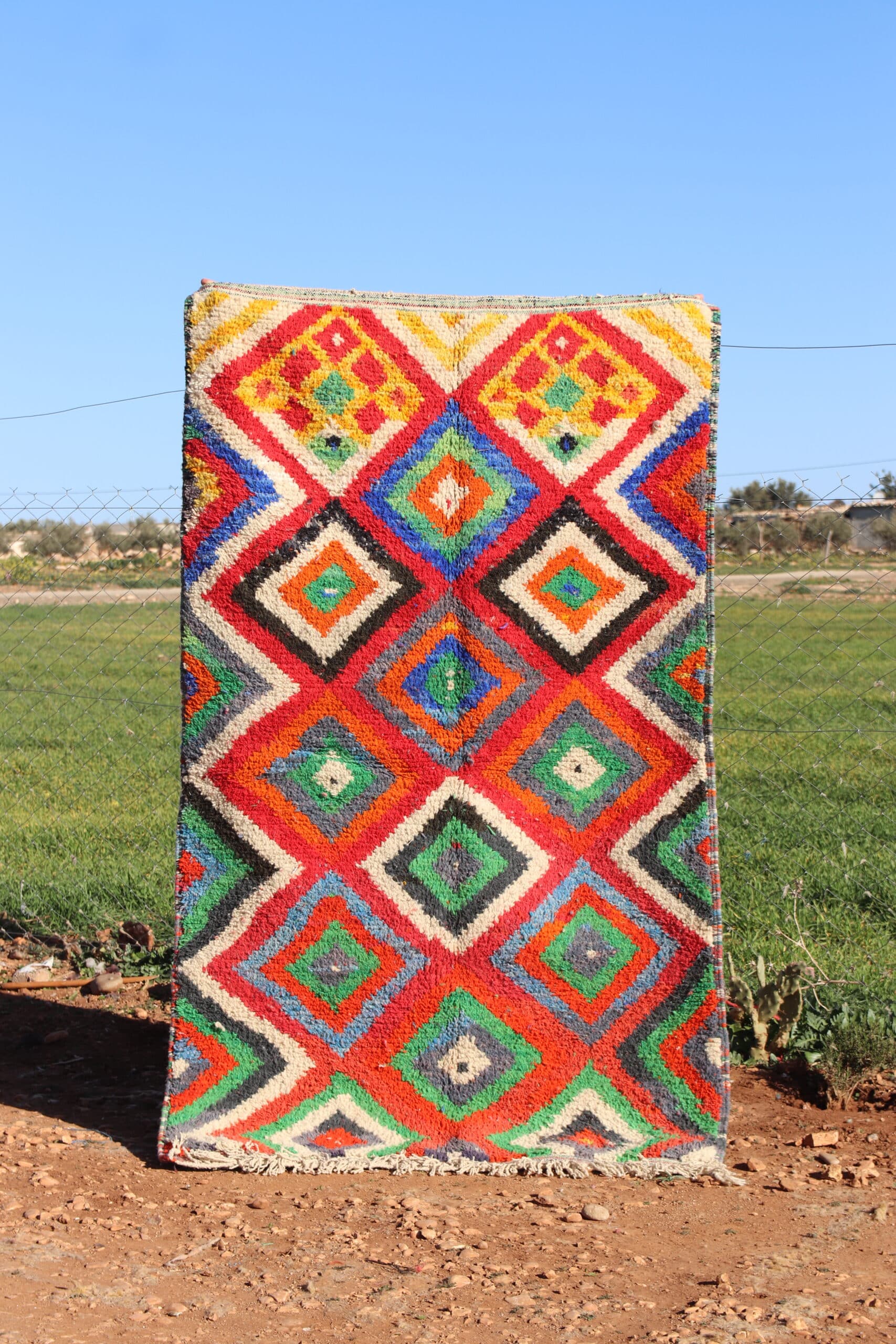 Bright Bohemian Rug