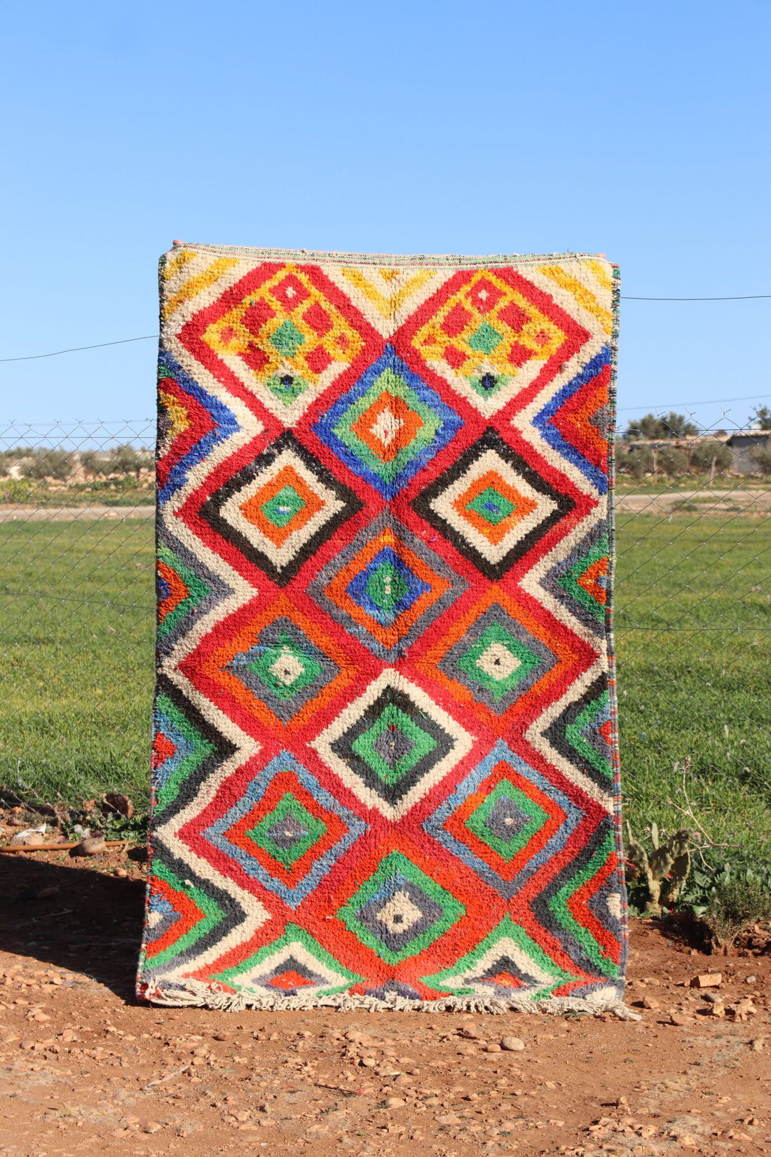 Bright Bohemian Rug