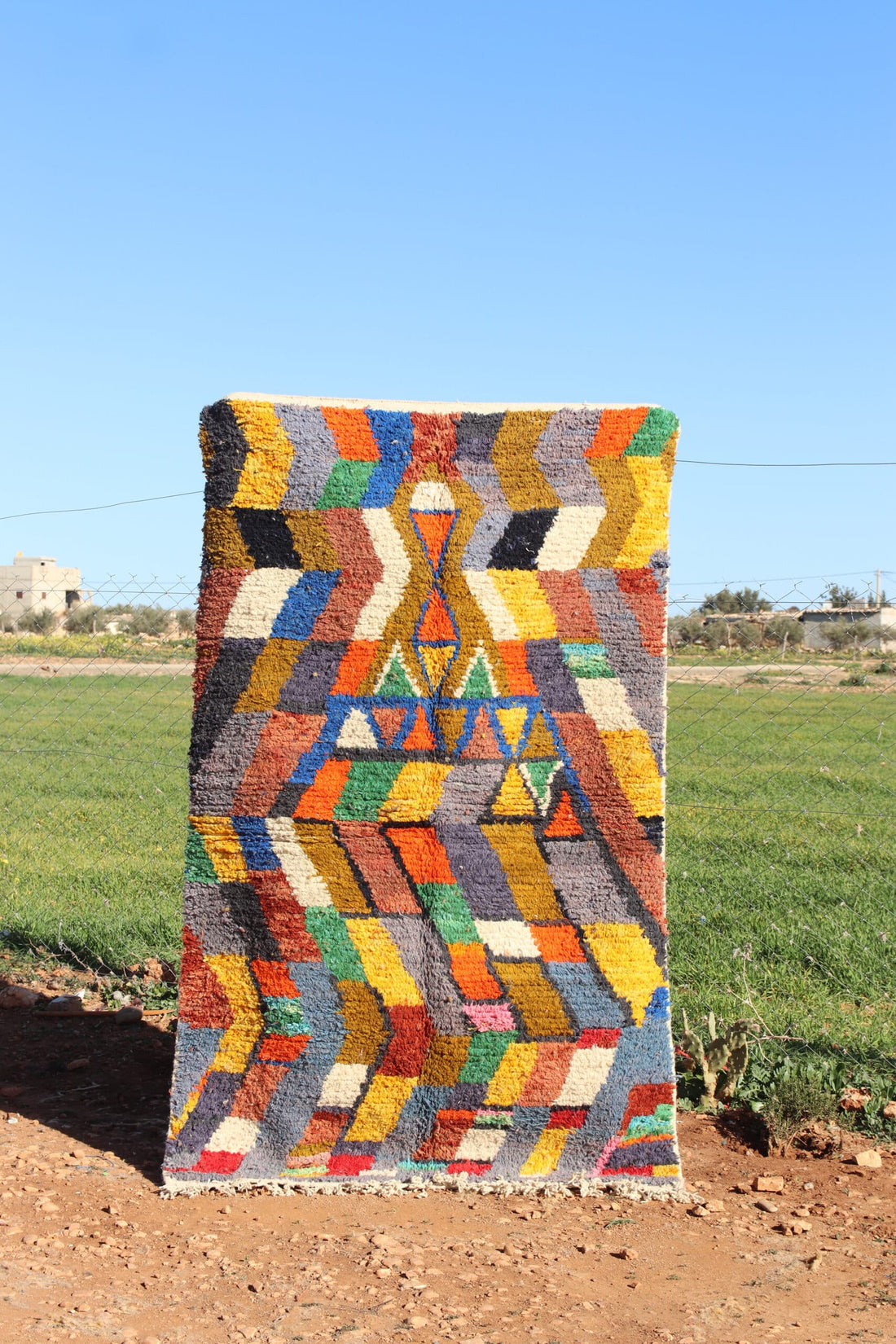 Eclectic Colorful Rug