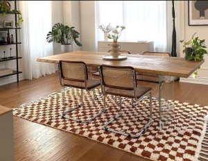 Black and white checkered rug in a modern living room