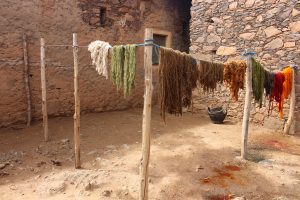 Shearing wool for Moroccan rug making