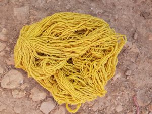 Natural wool dyed with saffron and indigo for Moroccan rug making