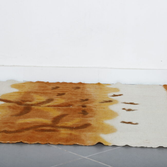 Moroccan Beni Ourain Rug with Bird Motifs - Image 7