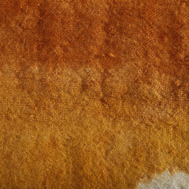 Moroccan Beni Ourain Rug with Bird Motifs - Image 2